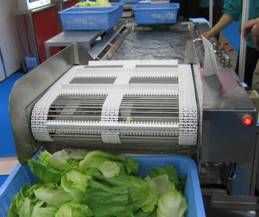 蔬菜加工設(shè)備